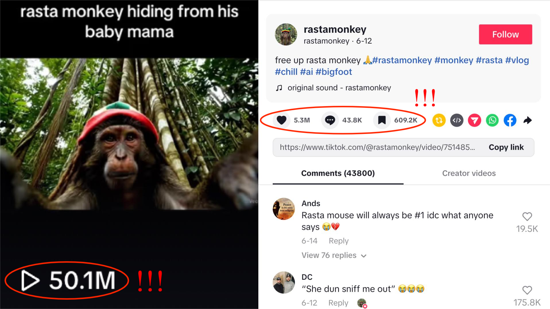 How to Create a Viral Rasta Monkey Vlog with 5.3M Likes and 50M Views?